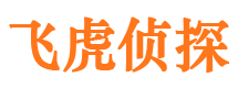 盐山市私家侦探